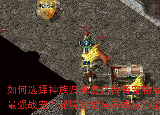 ���ѡ������������Ŵ��������е���ǿս�裿�ؾ�̽�������ɼ���ȫ����