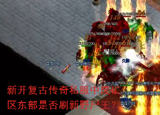 �¿����Ŵ���˽���зϿ��������Ƿ�ˢ��Ұʬ����