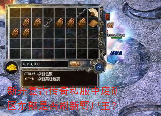 �¿����Ŵ���˽���зϿ��������Ƿ�ˢ��Ұʬ����