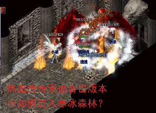 ��Ѫ������ۺϻ��汾����ν��뺮��ɭ�֣�