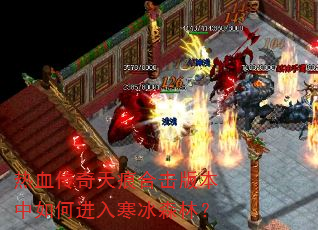 ��Ѫ������ۺϻ��汾����ν��뺮��ɭ�֣�