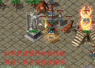 如何快速提升合击技能等级?新手攻略全解析 如何快速提升合击技能等级?新手攻略全解析