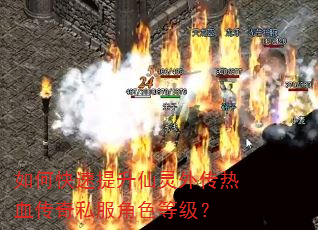 如何快速提升仙灵外传热血传奇私服角色等级? 如何快速提升仙灵外传热血传奇私服角色等级?