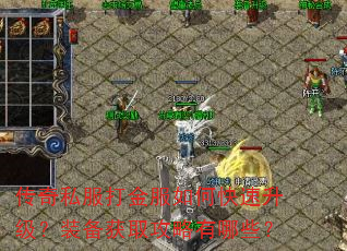 传奇私服打金服如何快速升级?装备获取攻略有哪些? 传奇私服打金服如何快速升级?装备获取攻略有哪些?