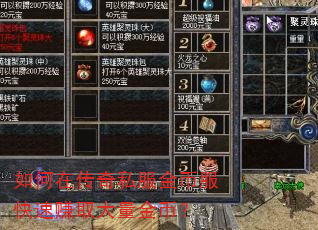 如何在传奇私服金币服快速赚取大量金币? 如何在传奇私服金币服快速赚取大量金币?