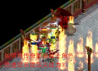 如何将传奇新服战士角色快速培养成顶尖战力? 如何将传奇新服战士角色快速培养成顶尖战力?