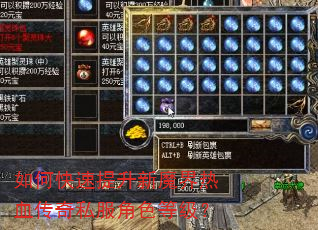 如何快速提升新魔界热血传奇私服角色等级? 如何快速提升新魔界热血传奇私服角色等级?