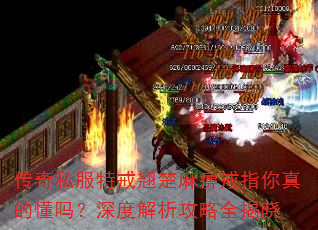 传奇私服特戒翘楚麻痹戒指你真的懂吗?深度解析攻略全揭晓 传奇私服特戒翘楚麻痹戒指你真的懂吗?深度解析攻略全揭晓