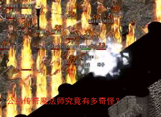 公益传奇魔法师究竟有多奇怪? 公益传奇魔法师究竟有多奇怪?