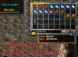 传奇私服老玩家名字大全?如何选择霸气游戏名提升战力? 传奇私服老玩家名字大全?如何选择霸气游戏名提升战力?