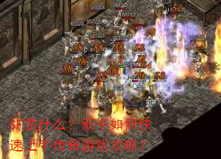 SF是什么?新手如何快速上手传奇游戏攻略? SF是什么?新手如何快速上手传奇游戏攻略?