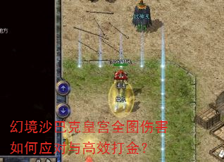 幻境沙巴克皇宫全图伤害如何应对与高效打金? 幻境沙巴克皇宫全图伤害如何应对与高效打金?