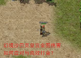 幻境沙巴克皇宫全图伤害如何应对与高效打金? 幻境沙巴克皇宫全图伤害如何应对与高效打金?