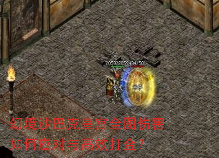 幻境沙巴克皇宫全图伤害如何应对与高效打金? 幻境沙巴克皇宫全图伤害如何应对与高效打金?