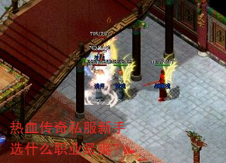 热血传奇私服新手选什么职业最爽? 热血传奇私服新手选什么职业最爽?
