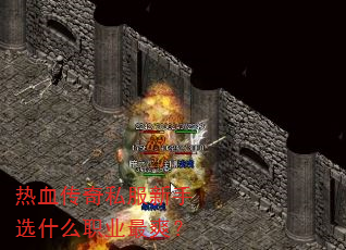 热血传奇私服新手选什么职业最爽? 热血传奇私服新手选什么职业最爽?