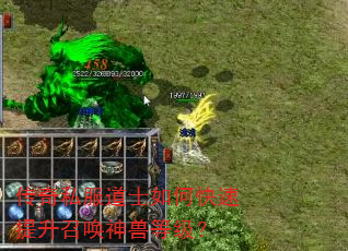 传奇私服道士如何快速提升召唤神兽等级? 传奇私服道士如何快速提升召唤神兽等级?