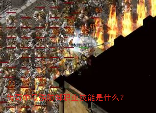 传奇中最强防御职业技能是什么? 传奇中最强防御职业技能是什么?