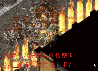未满十八岁禁入的传奇世界,新手如何快速上手? 未满十八岁禁入的传奇世界,新手如何快速上手?
