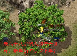 未满十八岁禁入的传奇世界,新手如何快速上手? 未满十八岁禁入的传奇世界,新手如何快速上手?