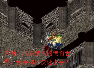 未满十八岁禁入的传奇世界,新手如何快速上手? 未满十八岁禁入的传奇世界,新手如何快速上手?