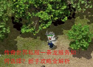 传奇世界私服一条龙服务如何选择?新手攻略全解析 传奇世界私服一条龙服务如何选择?新手攻略全解析