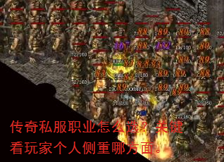 传奇私服职业怎么选?关键看玩家个人侧重哪方面。 传奇私服职业怎么选?关键看玩家个人侧重哪方面。