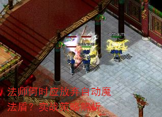 ��ʦ��ʱӦ�����Զ�ħ���ܣ�ʵս���Խ���