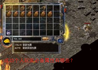 成功个人玩家必备属性有哪些? 成功个人玩家必备属性有哪些?