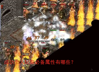 成功个人玩家必备属性有哪些? 成功个人玩家必备属性有哪些?