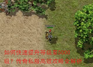 如何快速提升等级至5000级?传奇私服高效攻略全解析 如何快速提升等级至5000级?传奇私服高效攻略全解析
