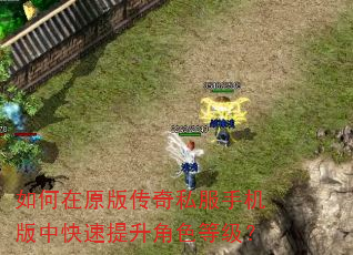 如何在原版传奇私服手机版中快速提升角色等级? 如何在原版传奇私服手机版中快速提升角色等级?