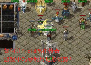 �����FieldPK�ڴ�����Ϸ���������õ������ƣ�