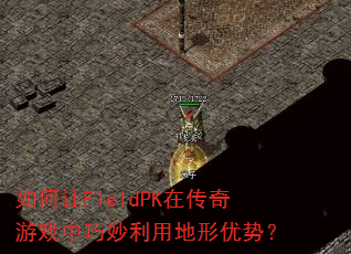 �����FieldPK�ڴ�����Ϸ���������õ������ƣ�
