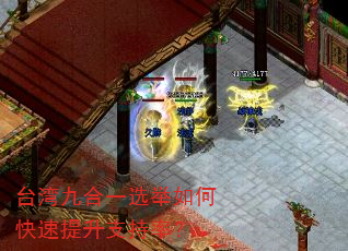 台湾九合一选举如何快速提升支持率? 台湾九合一选举如何快速提升支持率?
