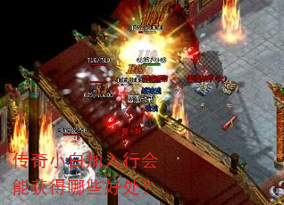 传奇小白加入行会能获得哪些好处? 传奇小白加入行会能获得哪些好处?