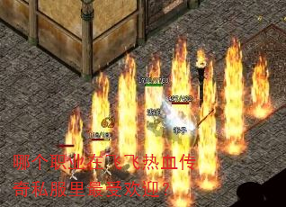 哪个职业在飞飞热血传奇私服里最受欢迎? 哪个职业在飞飞热血传奇私服里最受欢迎?