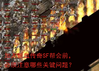 加入新血传奇SF帮会前,必须注意哪些关键问题? 加入新血传奇SF帮会前,必须注意哪些关键问题?