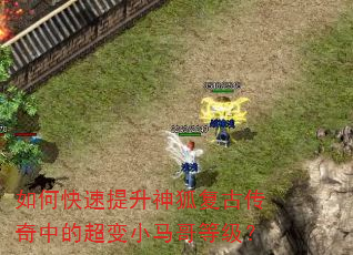 如何快速提升神狐复古传奇中的超变小马哥等级? 如何快速提升神狐复古传奇中的超变小马哥等级?