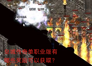 �ʳǴ��浥ְҵ������Щ�������Ի�ȡ��