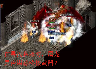 在寻找私服时,屠龙是否堪称终极武器? 在寻找私服时,屠龙是否堪称终极武器?