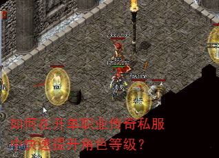 如何在开单职业传奇私服中快速提升角色等级? 如何在开单职业传奇私服中快速提升角色等级?