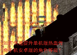 如何快速提升单机版热血传奇手机安卓版的角色等级? 如何快速提升单机版热血传奇手机安卓版的角色等级?