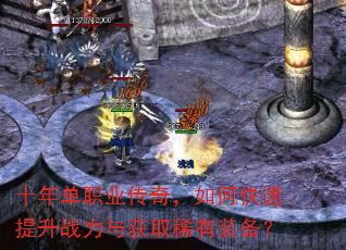 ʮ�굥ְҵ���棬��ο�������ս�����ȡϡ��װ����