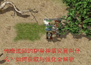 ���淨ʦ�Ļ�����ܾ�����ʲô����λ�ȡ��ǿ��ȫ����
