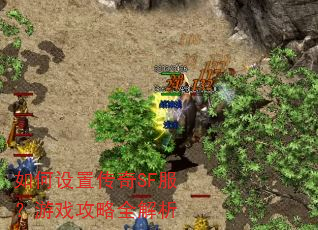 如何设置传奇SF服?游戏攻略全解析 如何设置传奇SF服?游戏攻略全解析