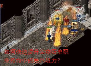 如何快速提升宠物蛋单职业传奇中的角色战力? 如何快速提升宠物蛋单职业传奇中的角色战力?