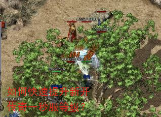 如何快速提升新开传奇一秒服等级? 如何快速提升新开传奇一秒服等级?