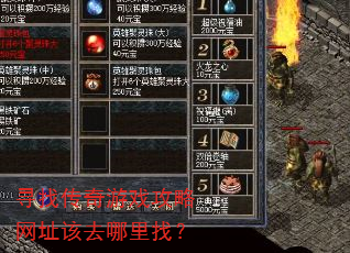 寻找传奇游戏攻略网址该去哪里找? 寻找传奇游戏攻略网址该去哪里找?