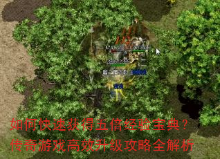 如何快速获得五倍经验宝典?传奇游戏高效升级攻略全解析 如何快速获得五倍经验宝典?传奇游戏高效升级攻略全解析
